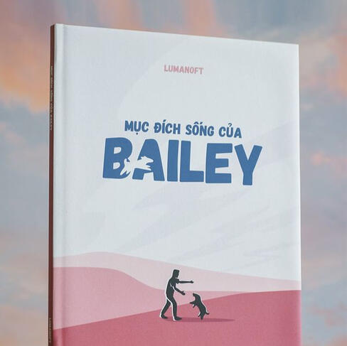 Bailey Bailey